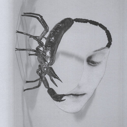 Touch - Tortoise