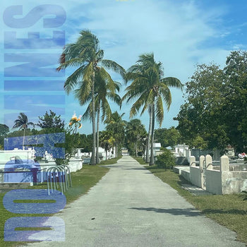 80/20 - Dopamines