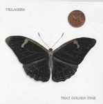 That Golden Time - Villagers