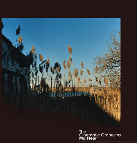 the album cover for Cinematic Orchestra - Ma Fleur [Digipak]