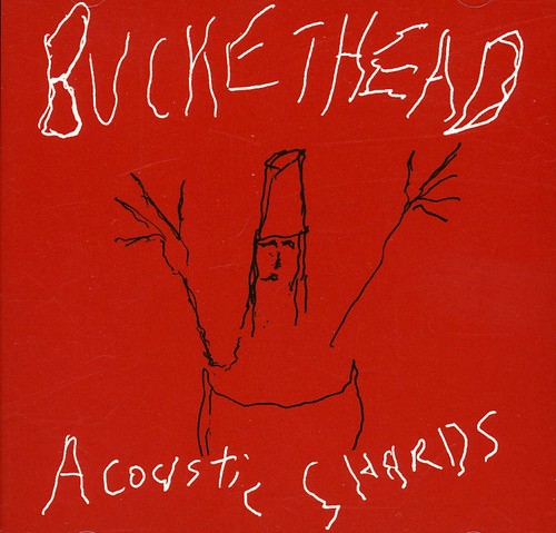 the album cover for Buckethead - Acoustic Shards
