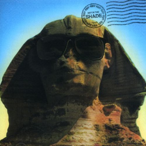 the album cover for KISS - Hot in the Shade