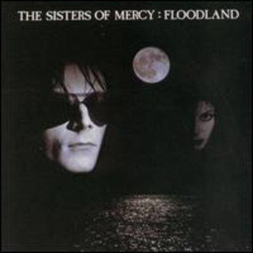 the album cover for The Sisters Of Mercy - Floodland