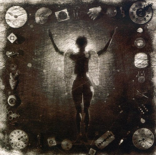the album cover for Ministry - Psalm 69