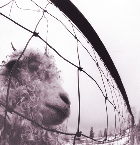 the album cover for Pearl Jam - Vs [180 Gram]