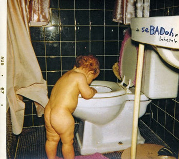 the album cover for Sebadoh - Bakesale [Deluxe]