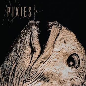 Complete B Sides: 1988-97 - Pixies