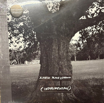 A New Place 2 Drown (Instrumentals) - King Krule (Archy Marshall)