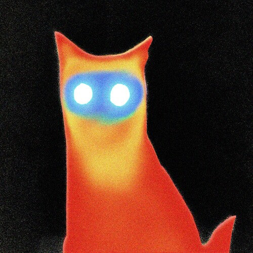 Wired - Basement