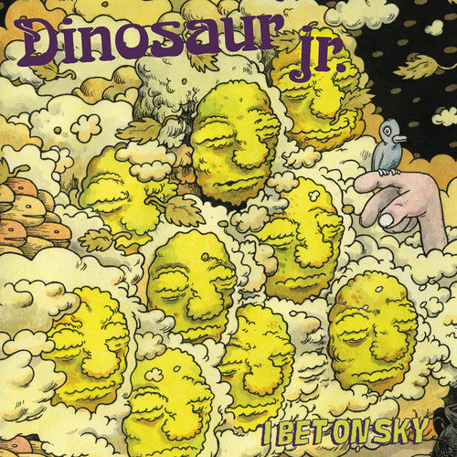 the album cover for Dinosaur Jr. - I Bet on Sky