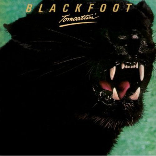 the album cover for Blackfoot - Tomcattin