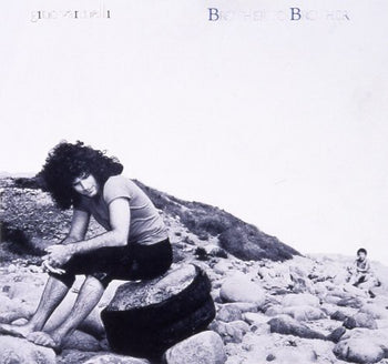 the album cover for Gino Vannelli - Brother to Brother