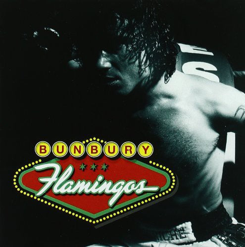 the album cover for Bunbury - Flamingos