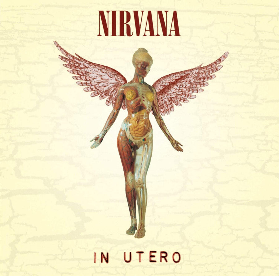 the album cover for Nirvana - In Utero [LP]
