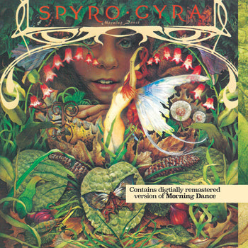 the album cover for Spyro Gyra - Morning Dance