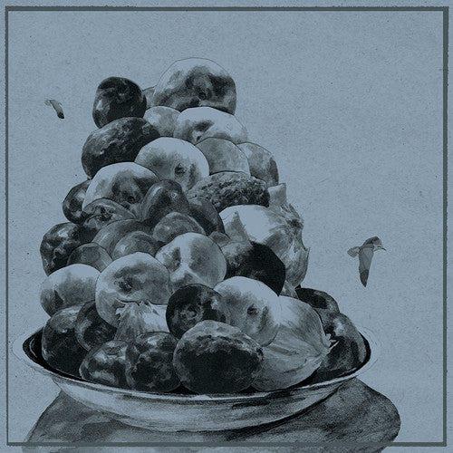 the album cover for Hop Along - Painted Shut [Vinyl]