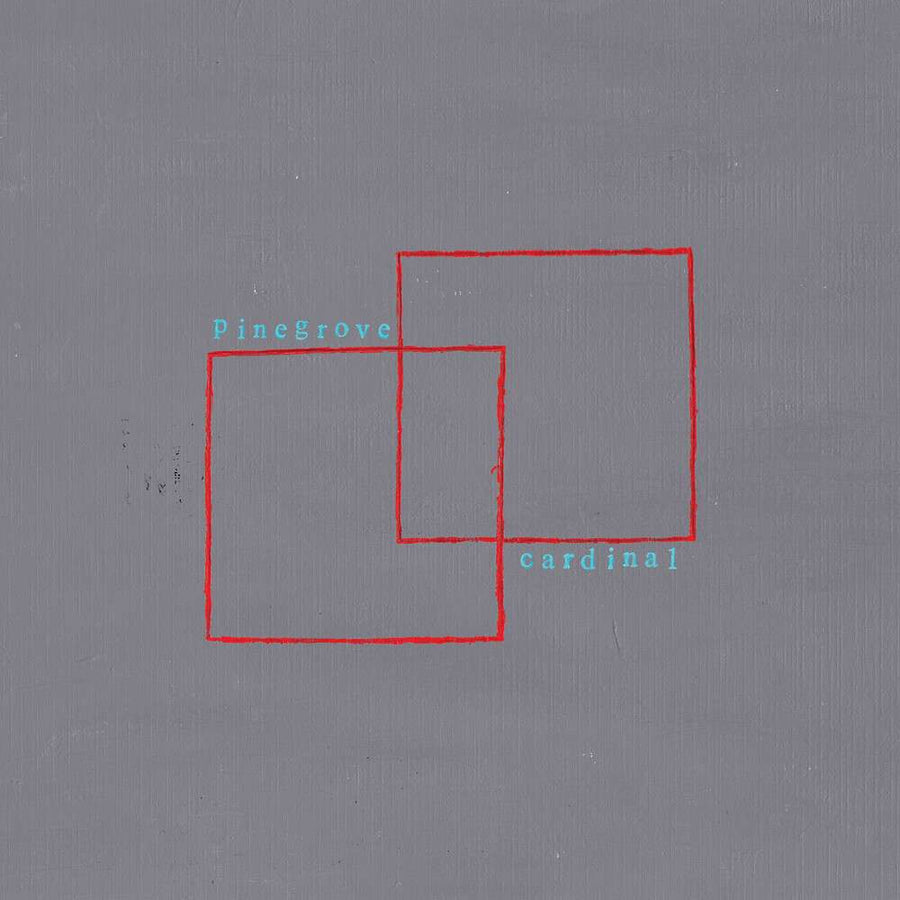 the album cover for Pinegrove - Cardinal