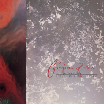 the album cover for Cocteau Twins - Tiny Dynamine / Echoes In A Shallow Bay [Vinyl]