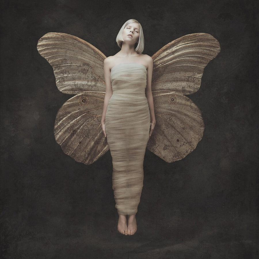 the album cover for AURORA - All My Demons Greeting Me As A Friend [LP]
