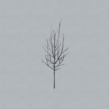 the album cover for Low - Ones and Sixes