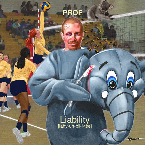 the album cover for Prof - Liability