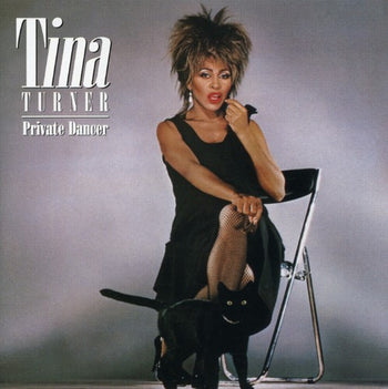 the album cover for Tina Turner - Private Dancer