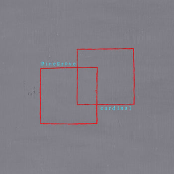 the album cover for Pinegrove - Cardinal [Vinyl]