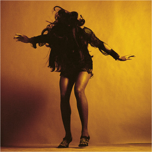 the album cover for The Last Shadow Puppets - Everything You've Come to Expect