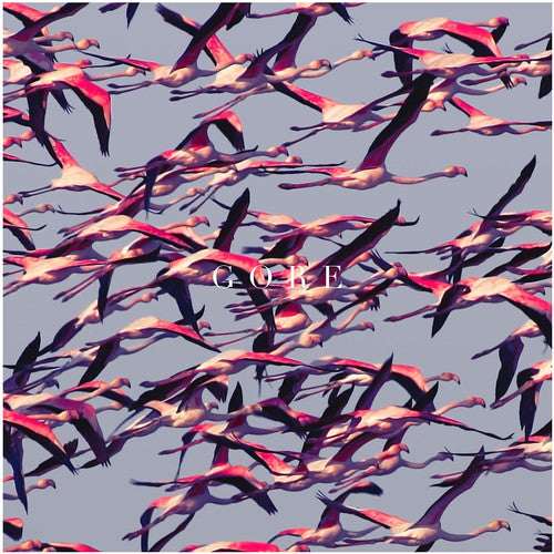 the album cover for Deftones - Gore