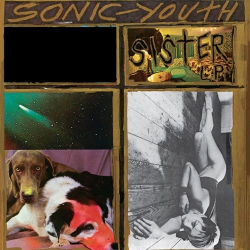 the album cover for Sonic Youth - Sister