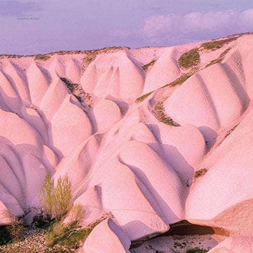 the album cover for Autechre - Amber [Vinyl]