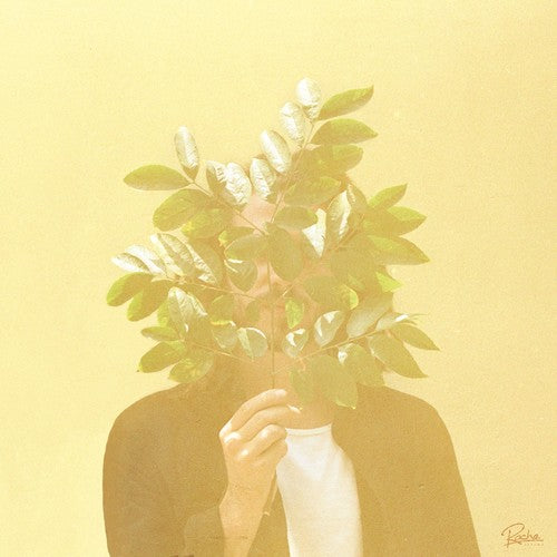 the album cover for FKJ - French Kiwi Juice