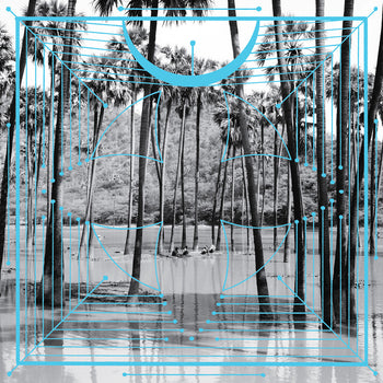 the album cover for Four Tet - Pink [Vinyl]