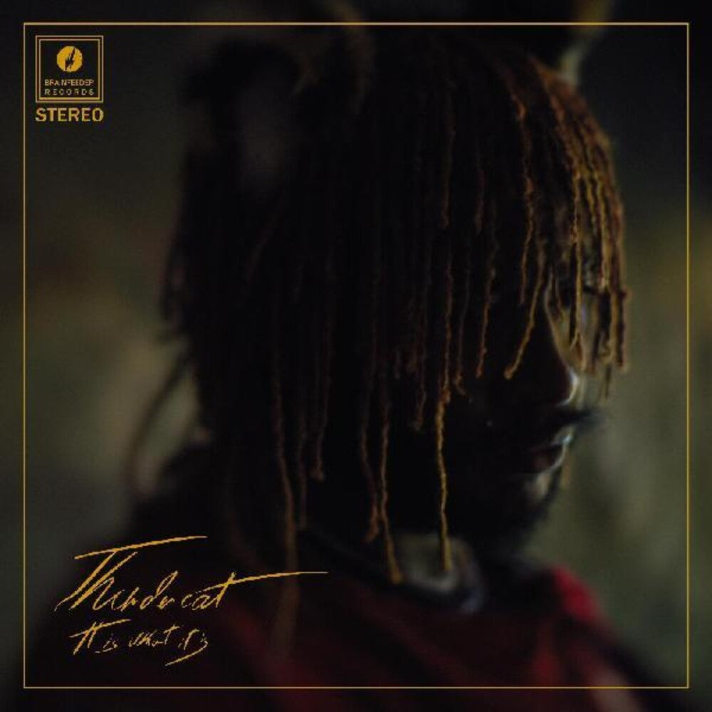 the album cover for Thundercat - It Is What It Is