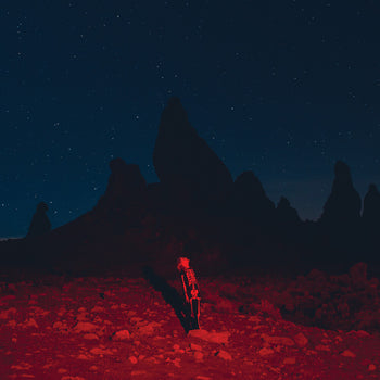 the album cover for Phoebe Bridgers - Punisher