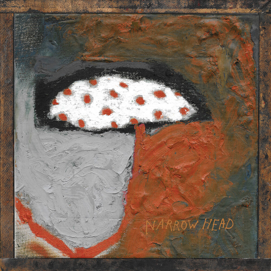 the album cover for Narrow Head - 12th House Rock
