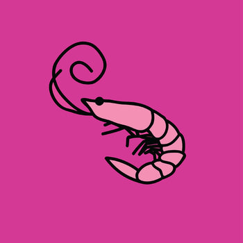 the album cover for Kero Kero Bonito - Flamingo