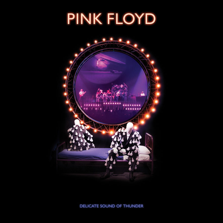the album cover for Pink Floyd - Delicate Sound Of Thunder: Remastered [3LP]