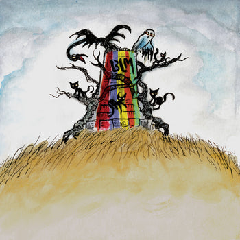 the album cover for Drive-By Truckers - The New Ok