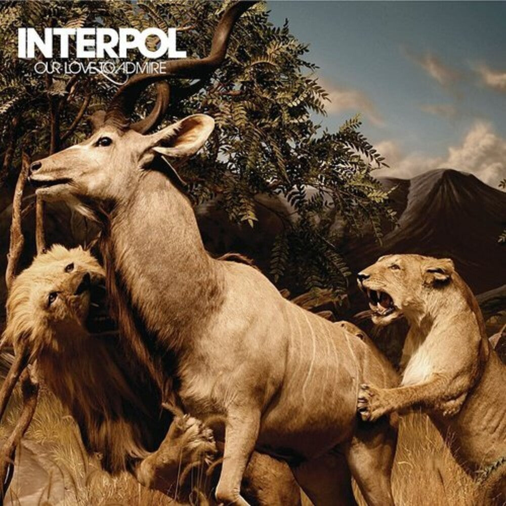 the album cover for Interpol - Our Love To Admire