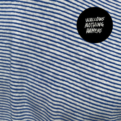 the album cover for Wallows - Nothing Happens