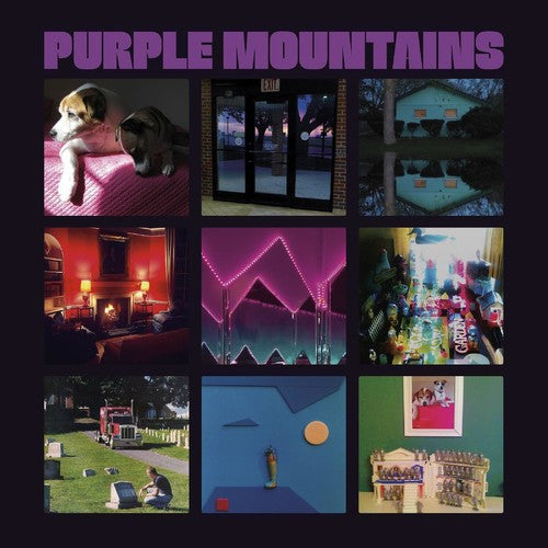 the album cover for Purple Mountains - Purple Mountains