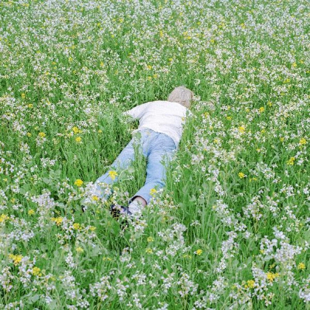the album cover for Porter Robinson - Nurture