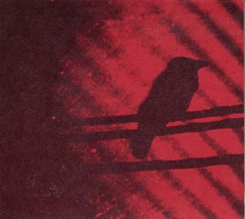 the album cover for Silver Mt. Zion - Born Into Trouble As the Sparks Fly Upward