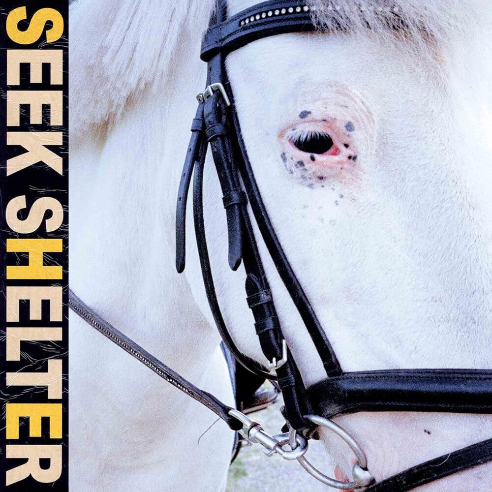 the album cover for Iceage - Seek Shelter