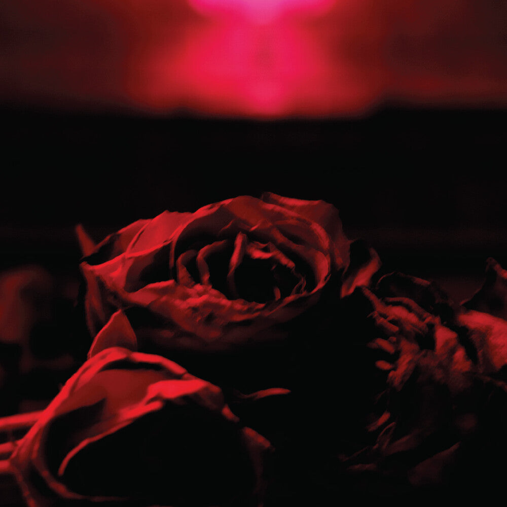 the album cover for Paper Kites - Roses (Mod)
