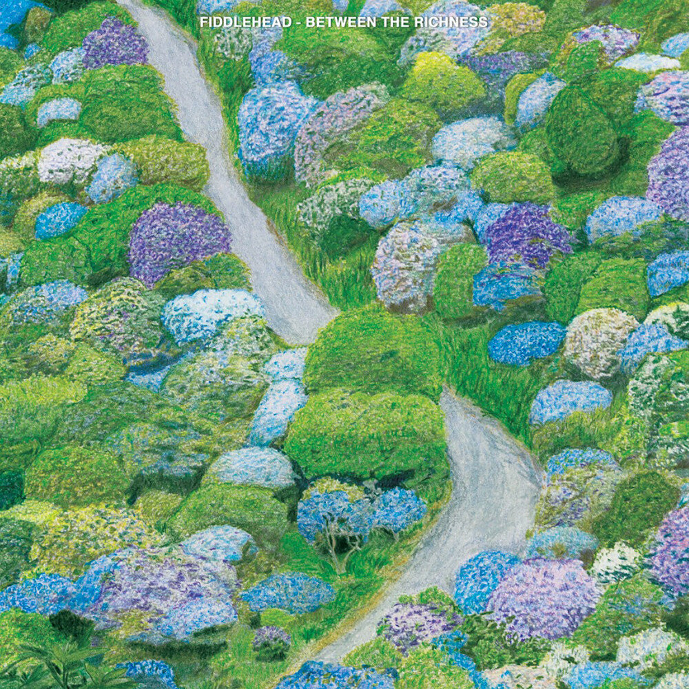 the album cover for Fiddlehead - Between The Richness
