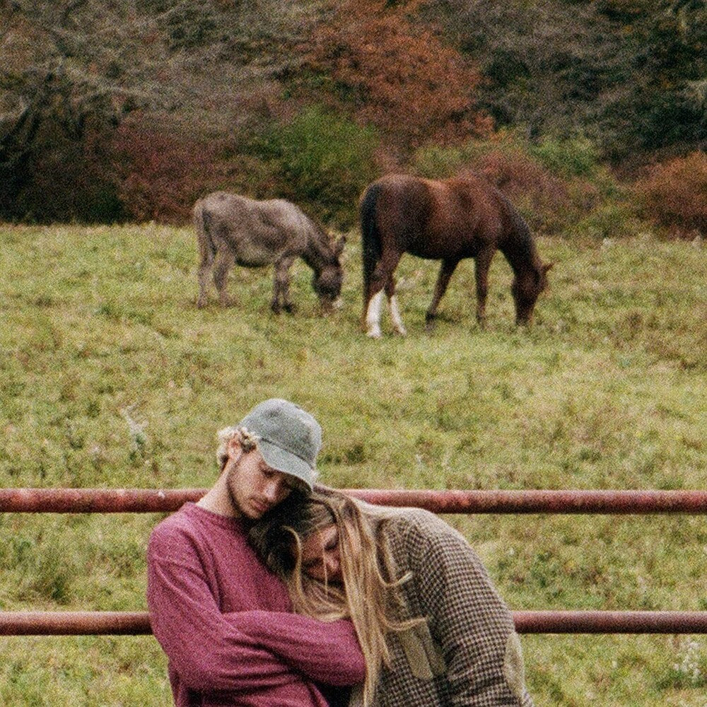 the album cover for Jeremy Zucker/Chelsea Cutler - brent ii [LP]