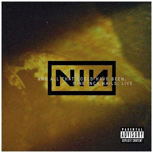 the album cover for Nine Inch Nails - All That Could Have Been