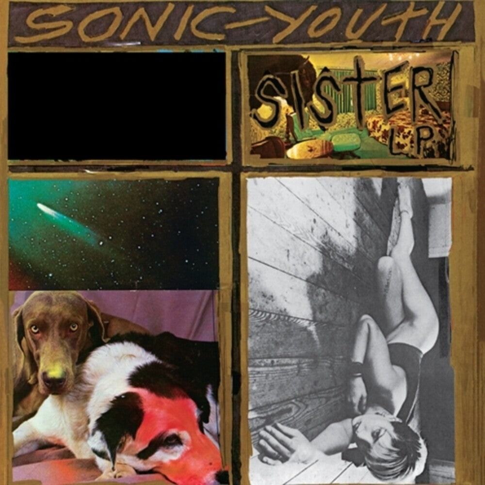 the album cover for Sonic Youth - Sister